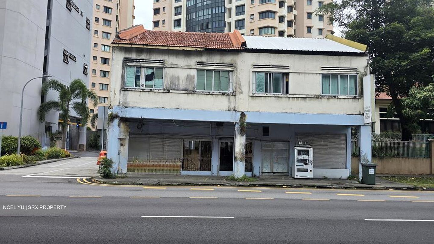 The Treeline (D15), Shop House #593885511
